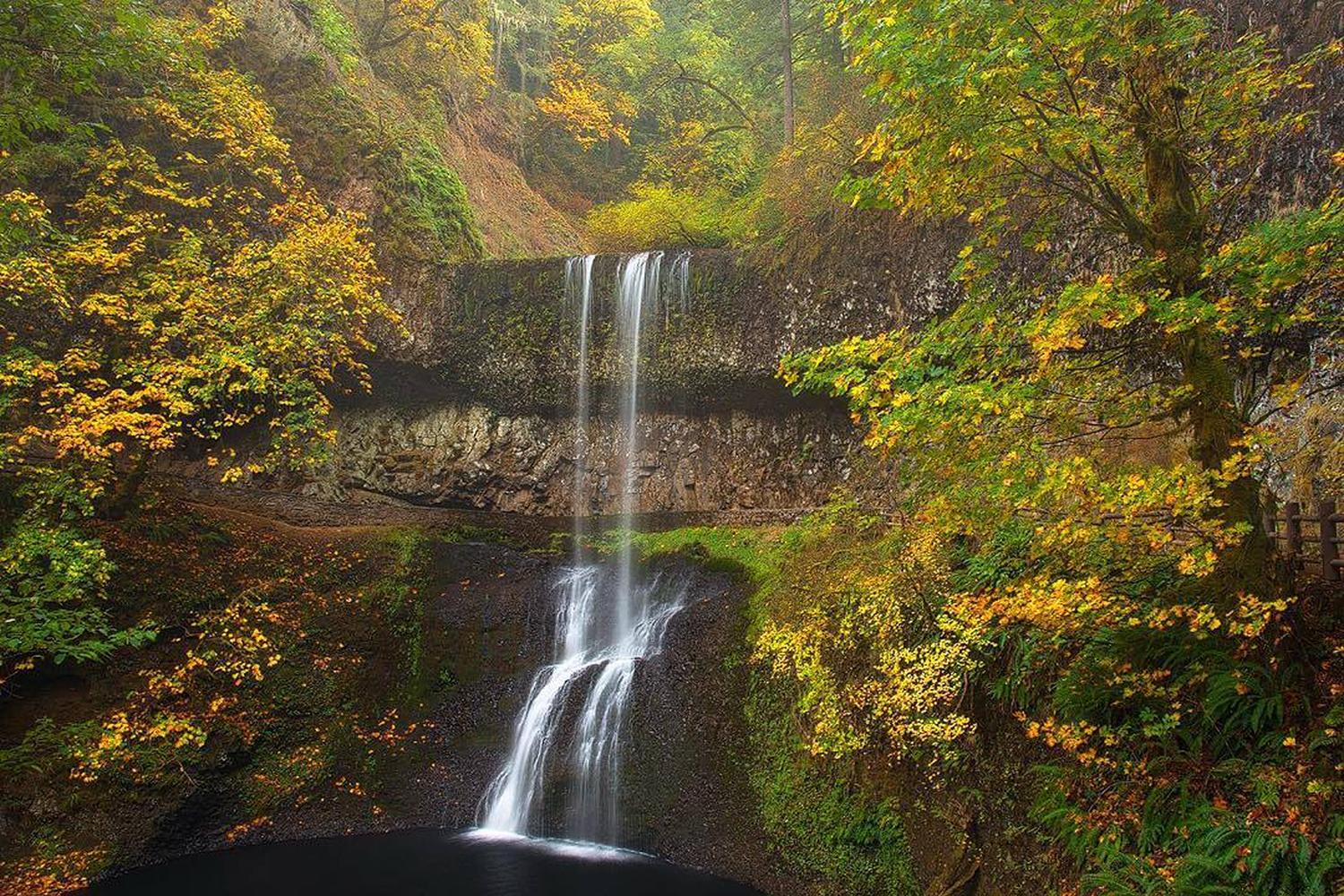 Silver Falls State Park 4