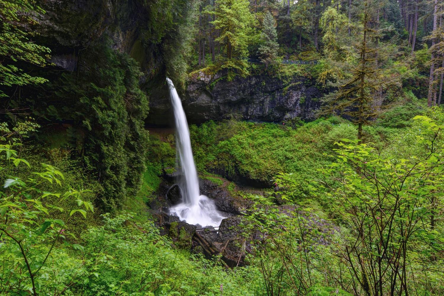 Silver Falls State Park 2