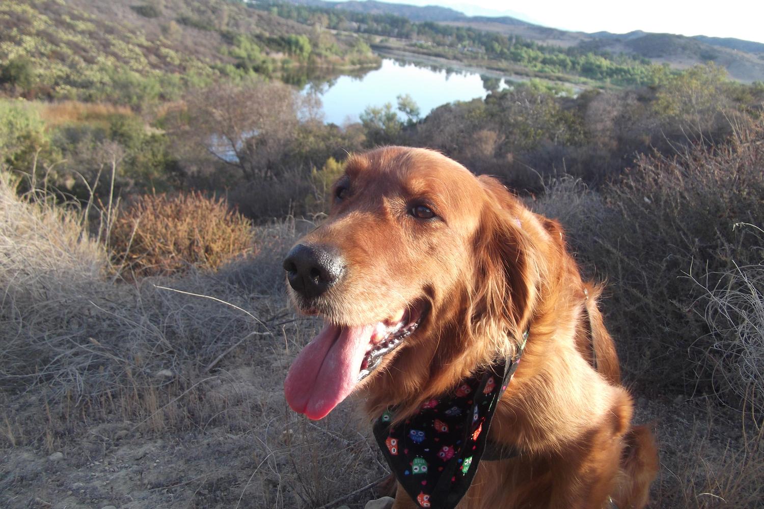 Peters Canyon Regional Park 0