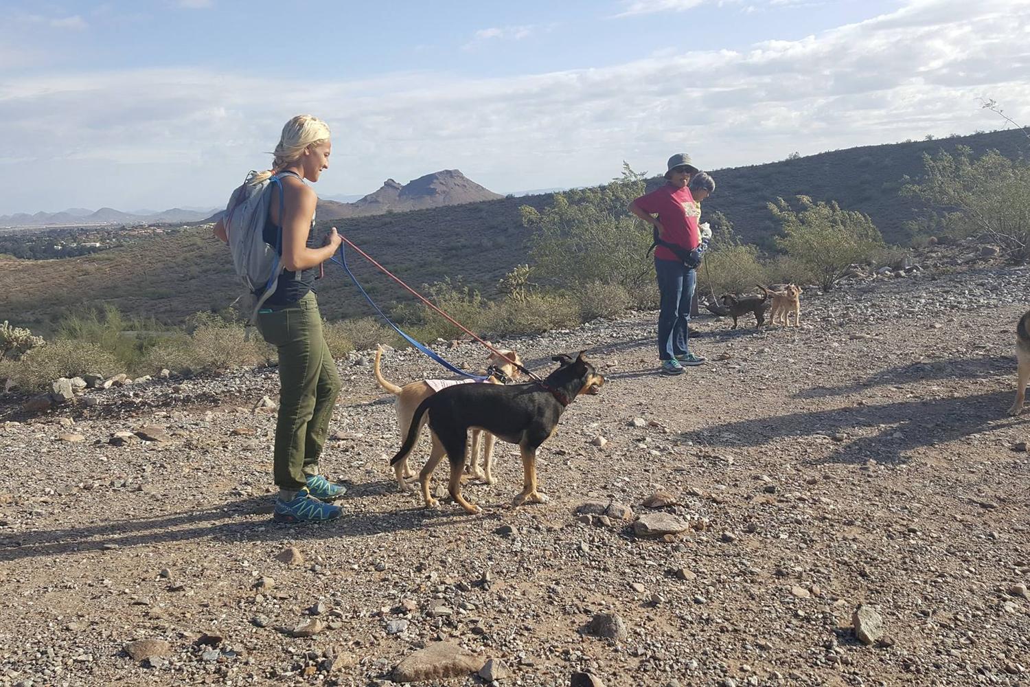 Phoenix Mountain Preserve - North Mountain 2