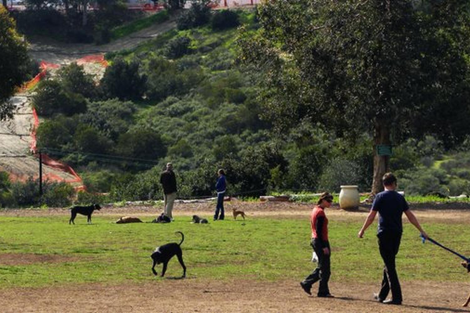 Morley Field Dog Park 4
