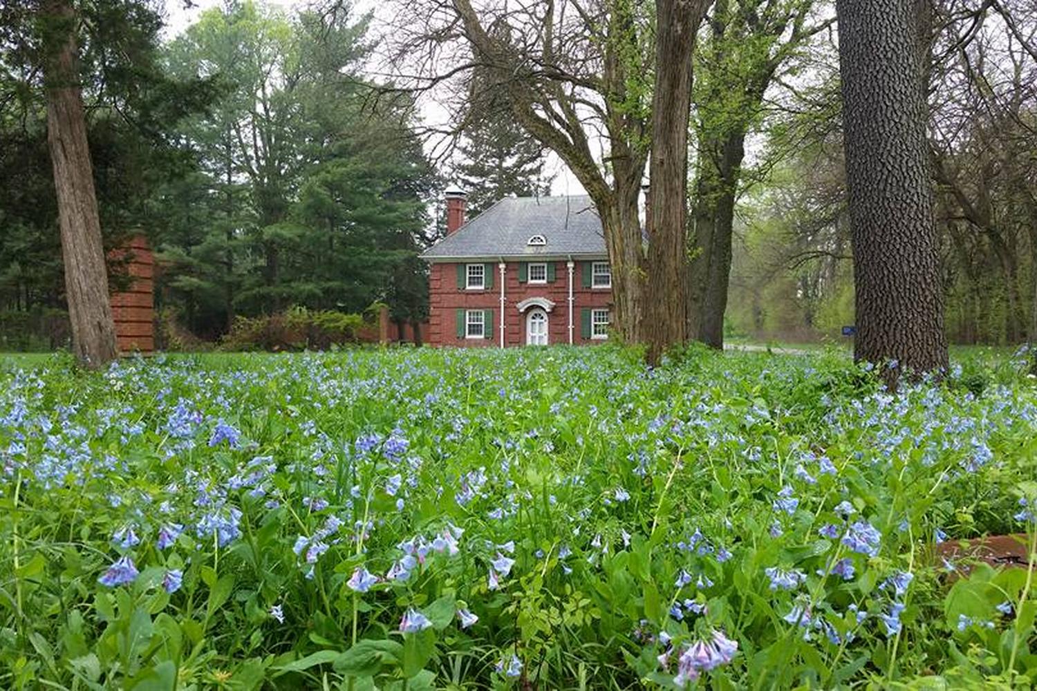 Allerton Park & Retreat Center 2