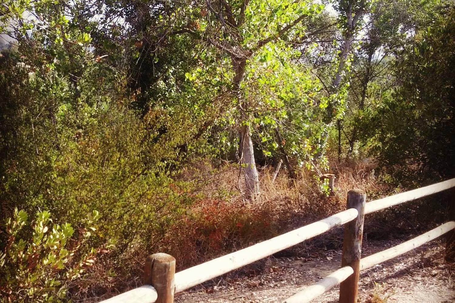 Mast Park Off-Leash Dog Park 3