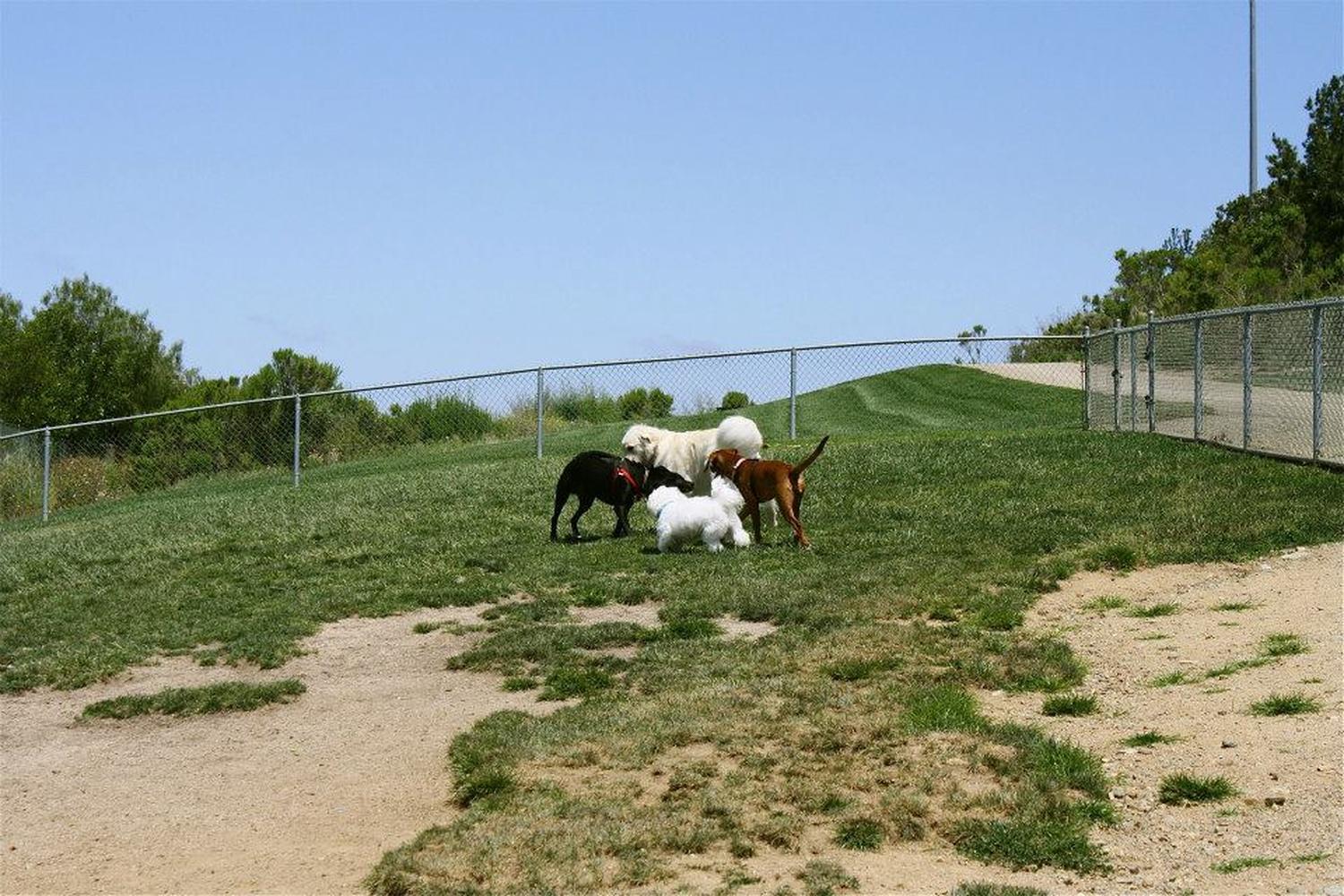 San Elijo Hills Dog Park 1