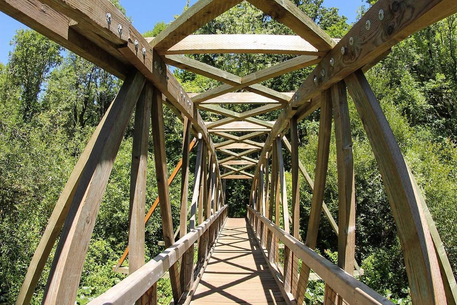 Mount Pisgah Trail 1