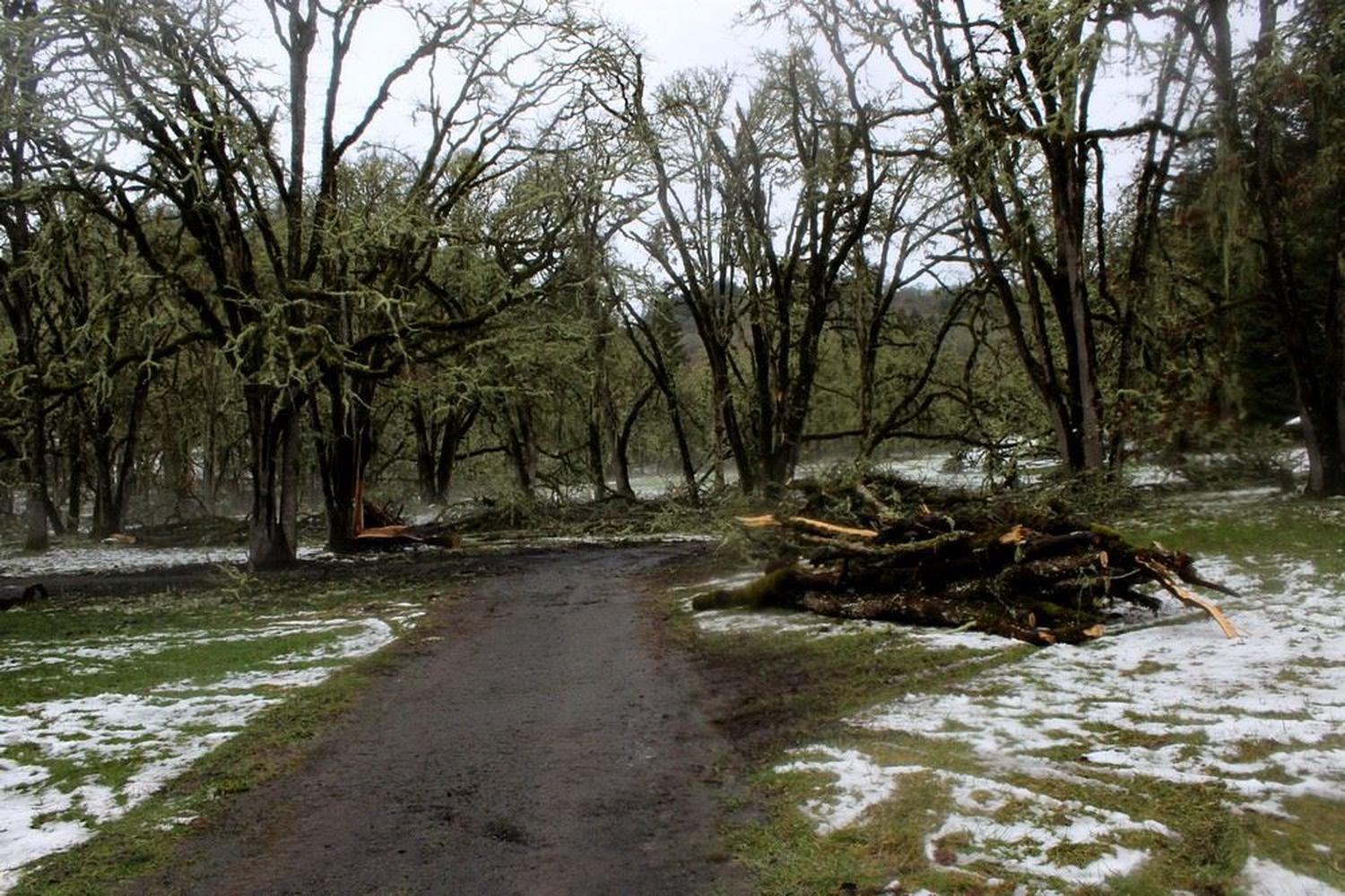 Mount Pisgah Trail 4
