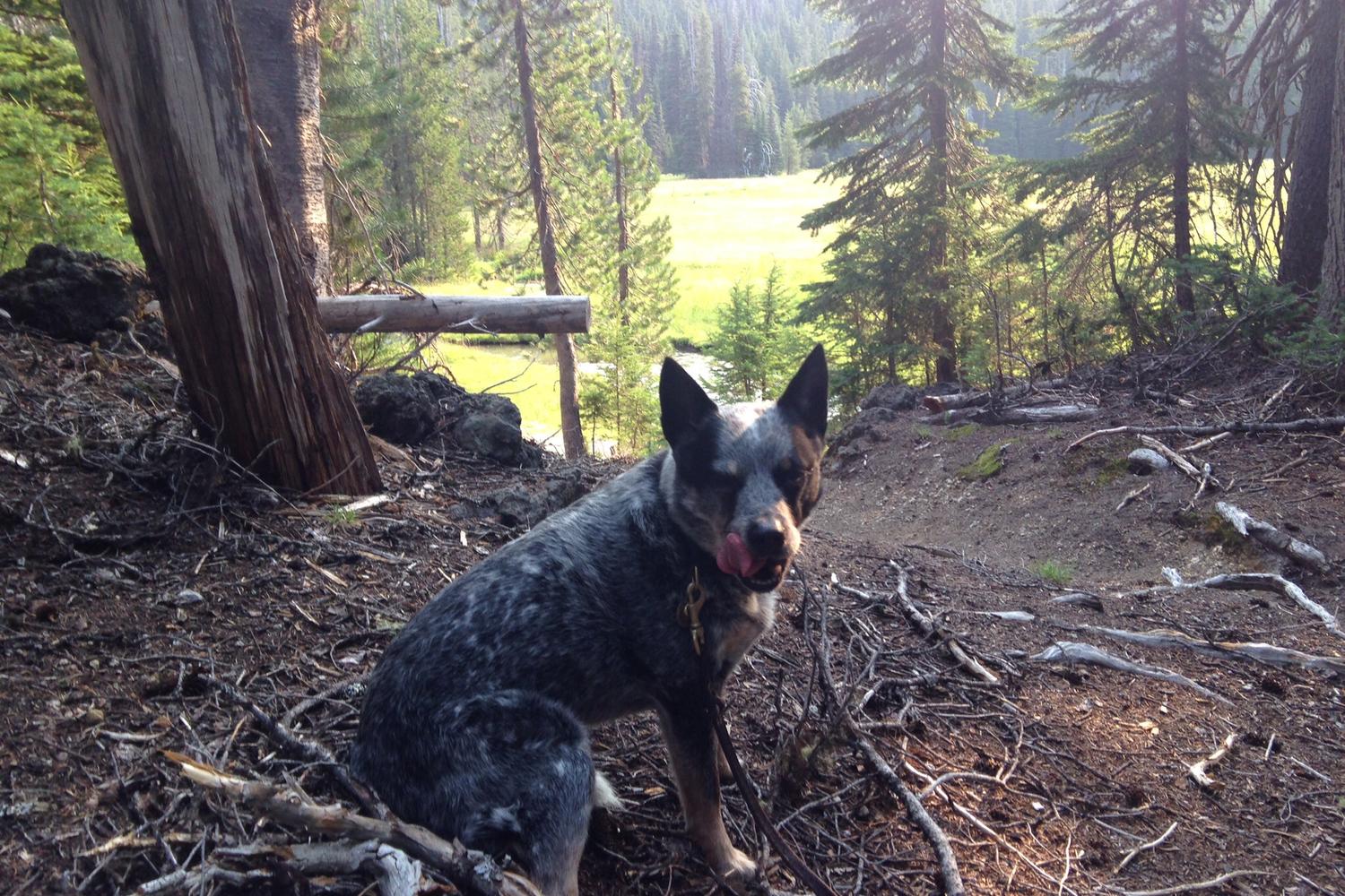 Green Lakes to Soda Creek Trail 4