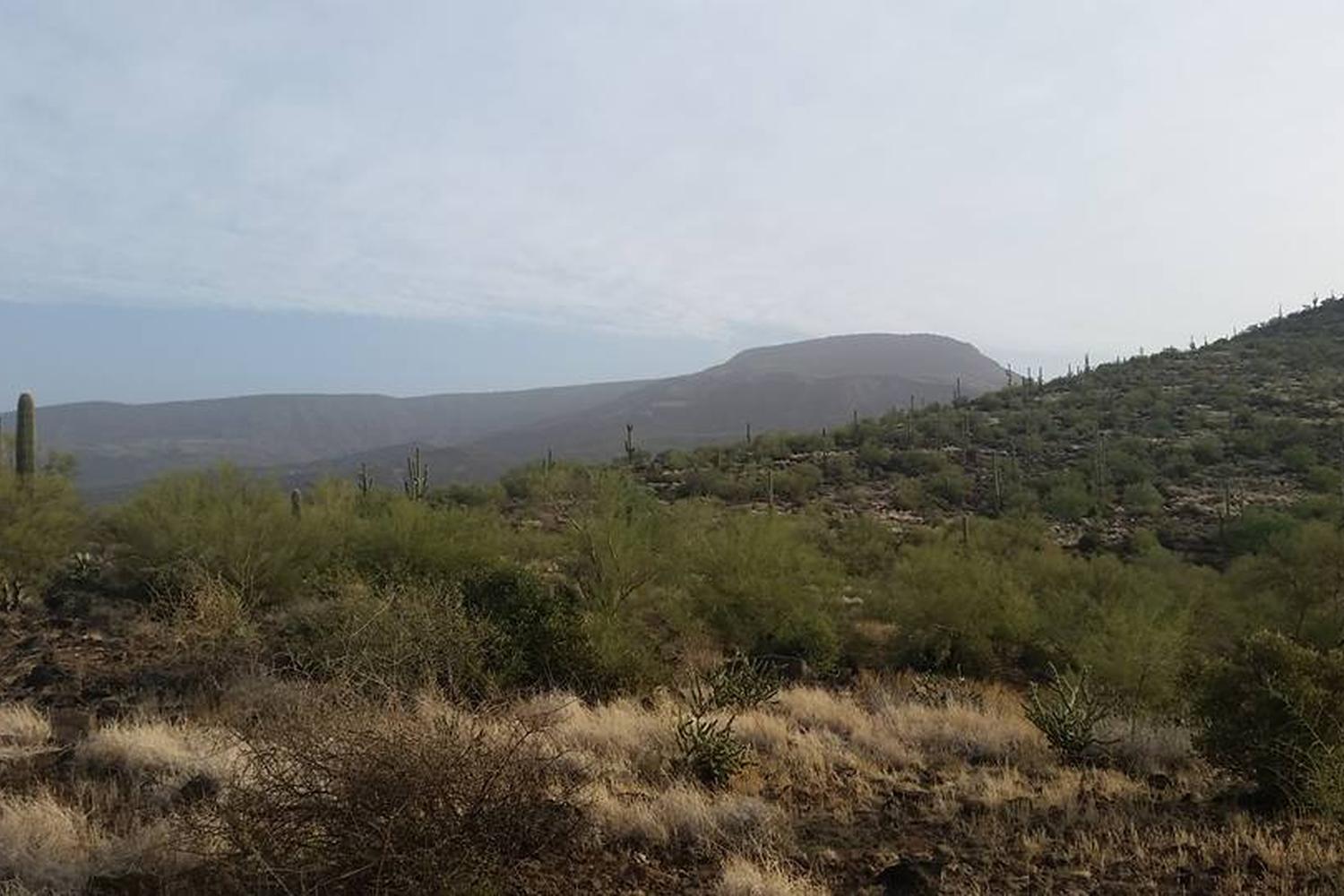 Cleghorn Ridge OHV Trail 2
