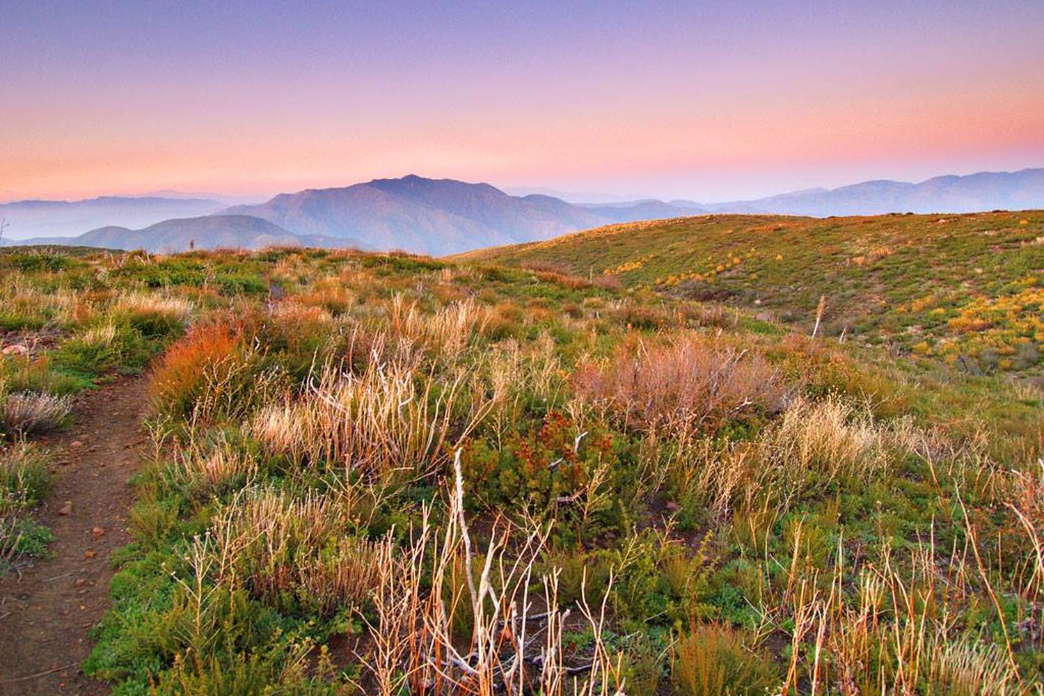 Cleghorn Ridge OHV Trail 0