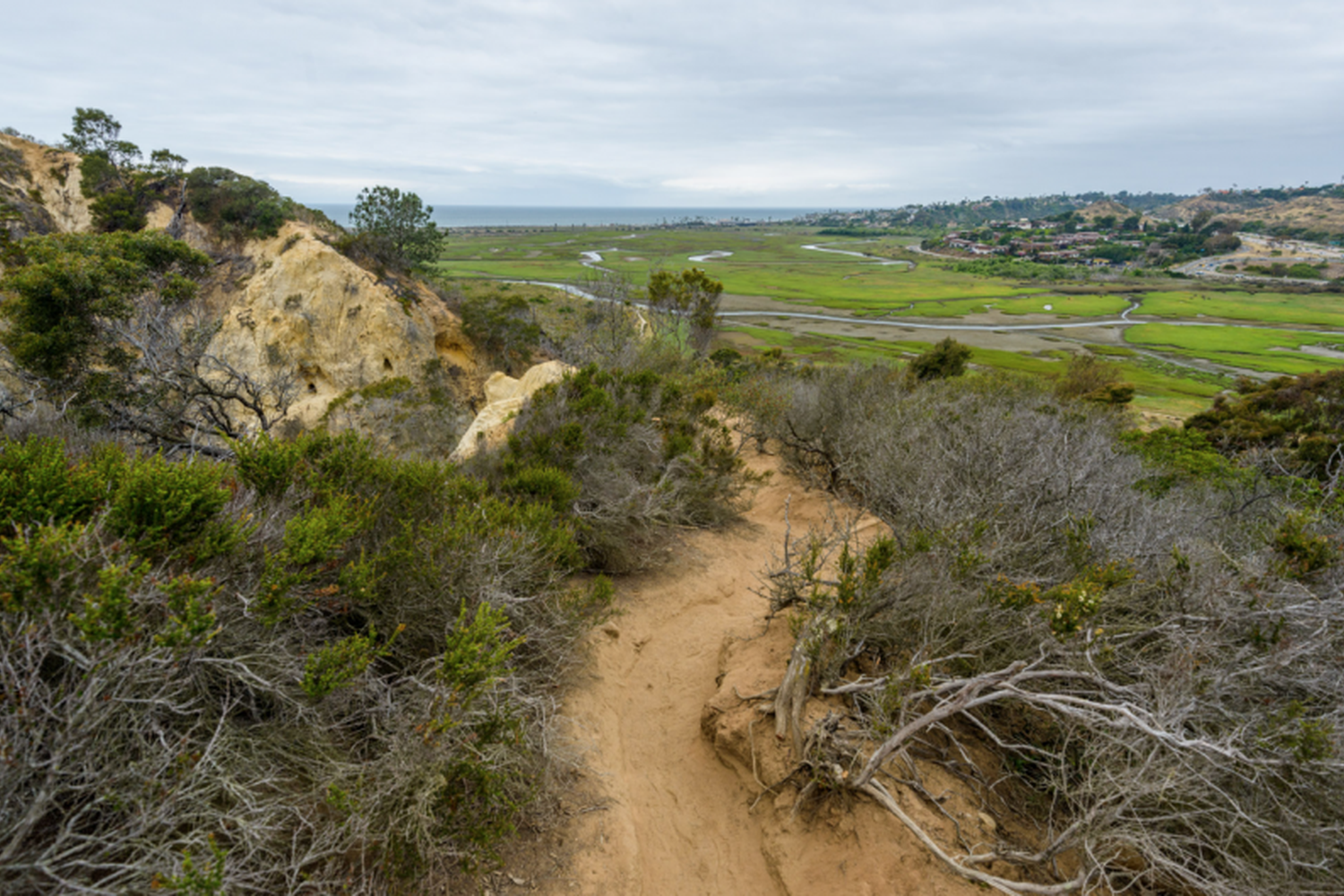 San Elijo Lagoon Ecological Reserve Annie's Canyon Trail 7