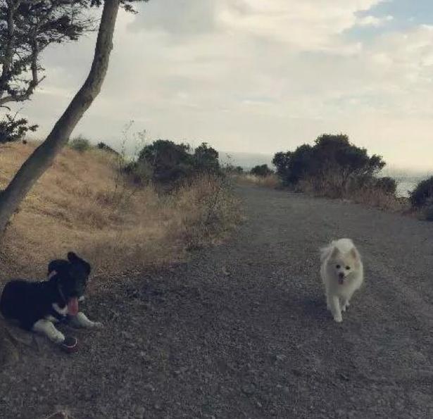 Point Isabel Regional Shoreline Trail 2