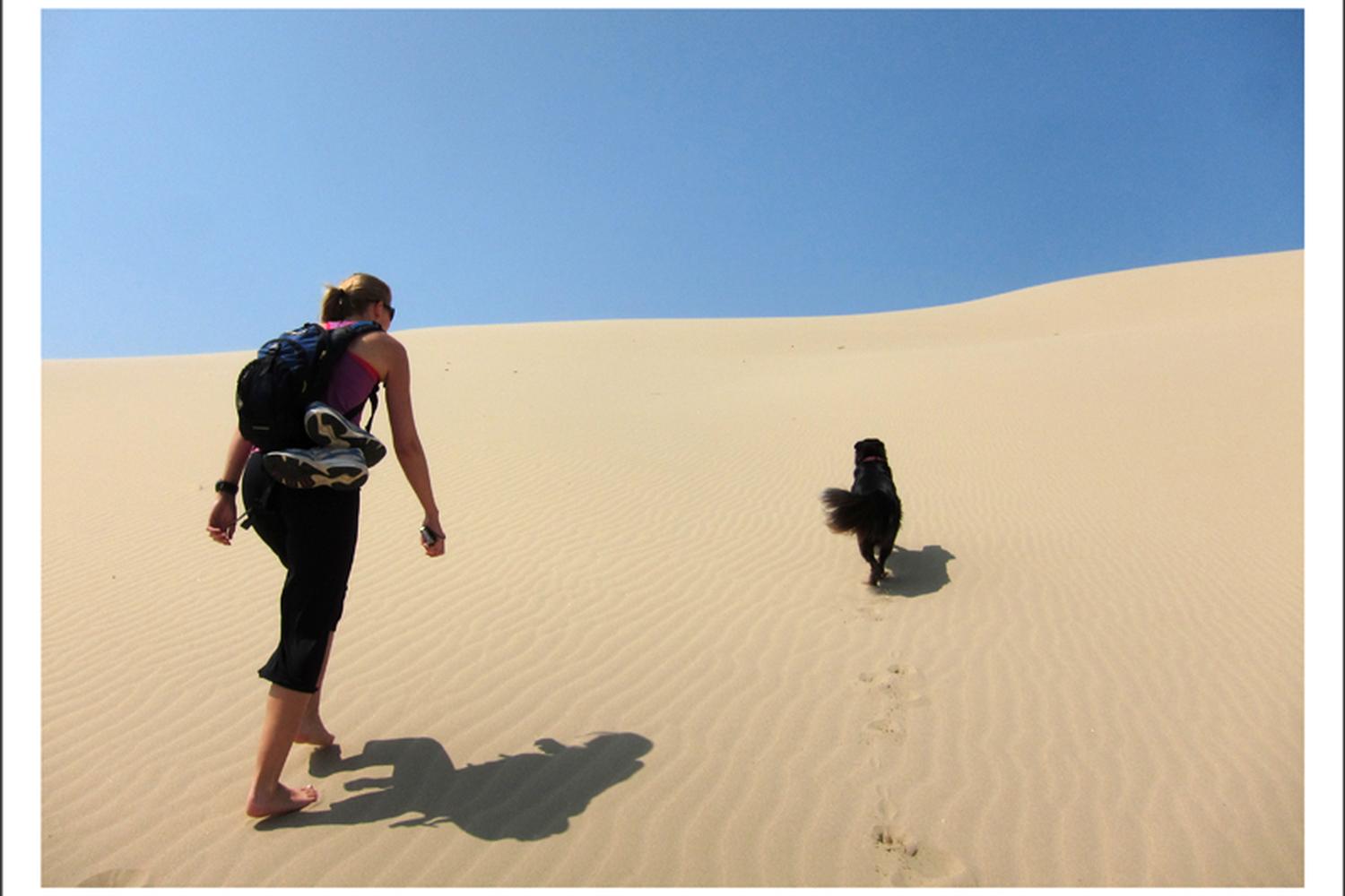 John Dellenback Dunes Trail 0