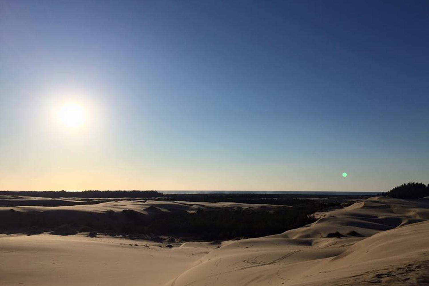 John Dellenback Dunes Trail 5