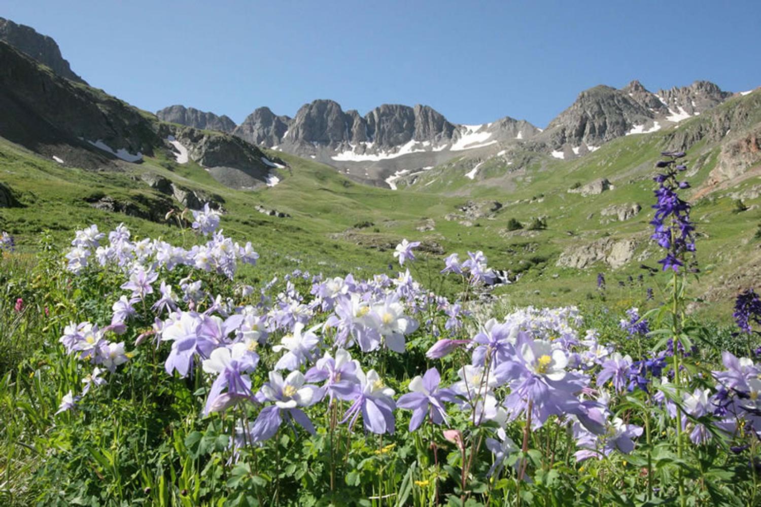 American Basin Trail 4