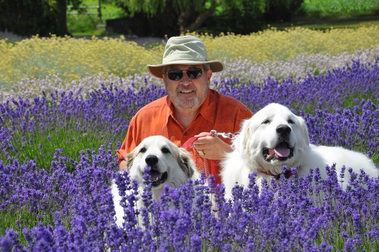 Purple Haze Lavender Farm & Gift Shop 4