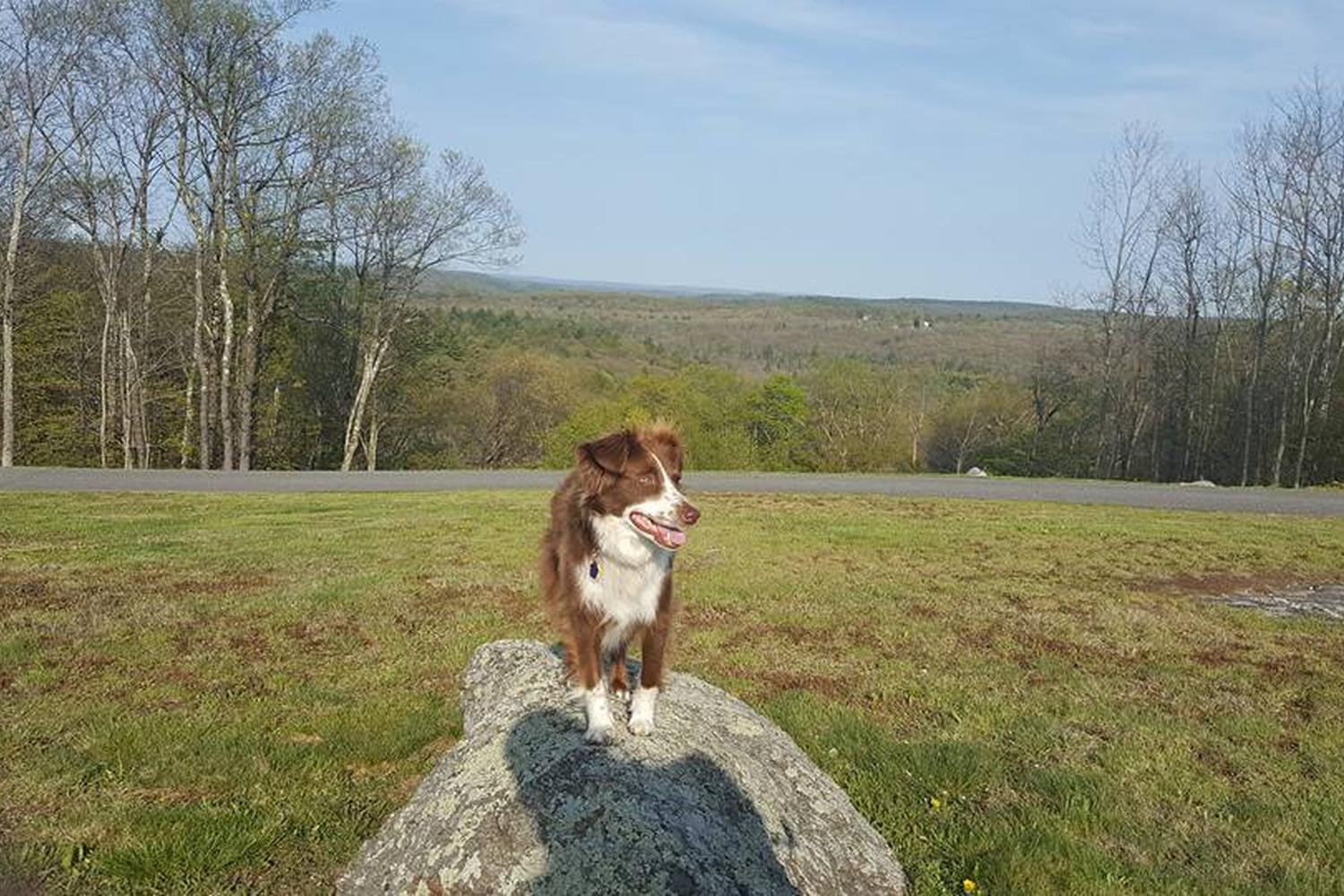 Dennis Hill State Park 4