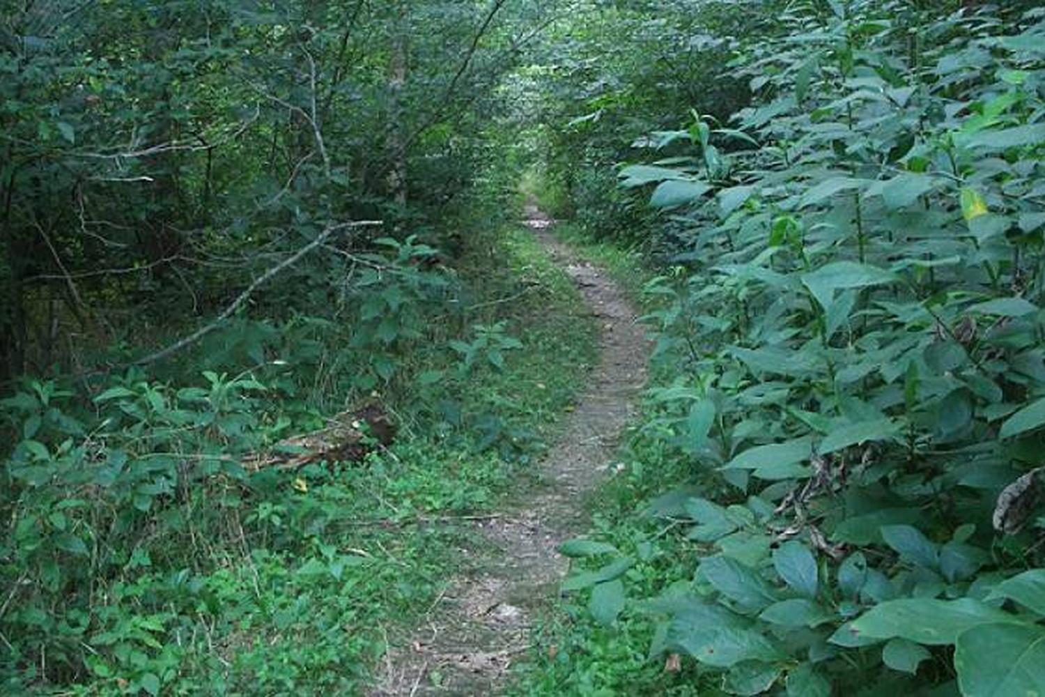 Meramec State Park 4