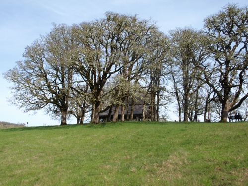 Bald Hill Park 1