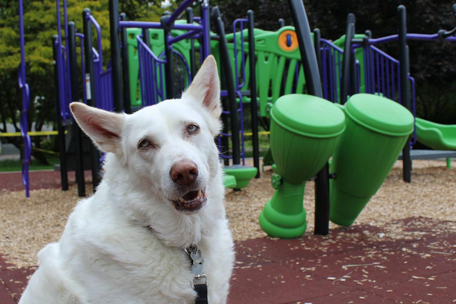 Bald Hill Park 0