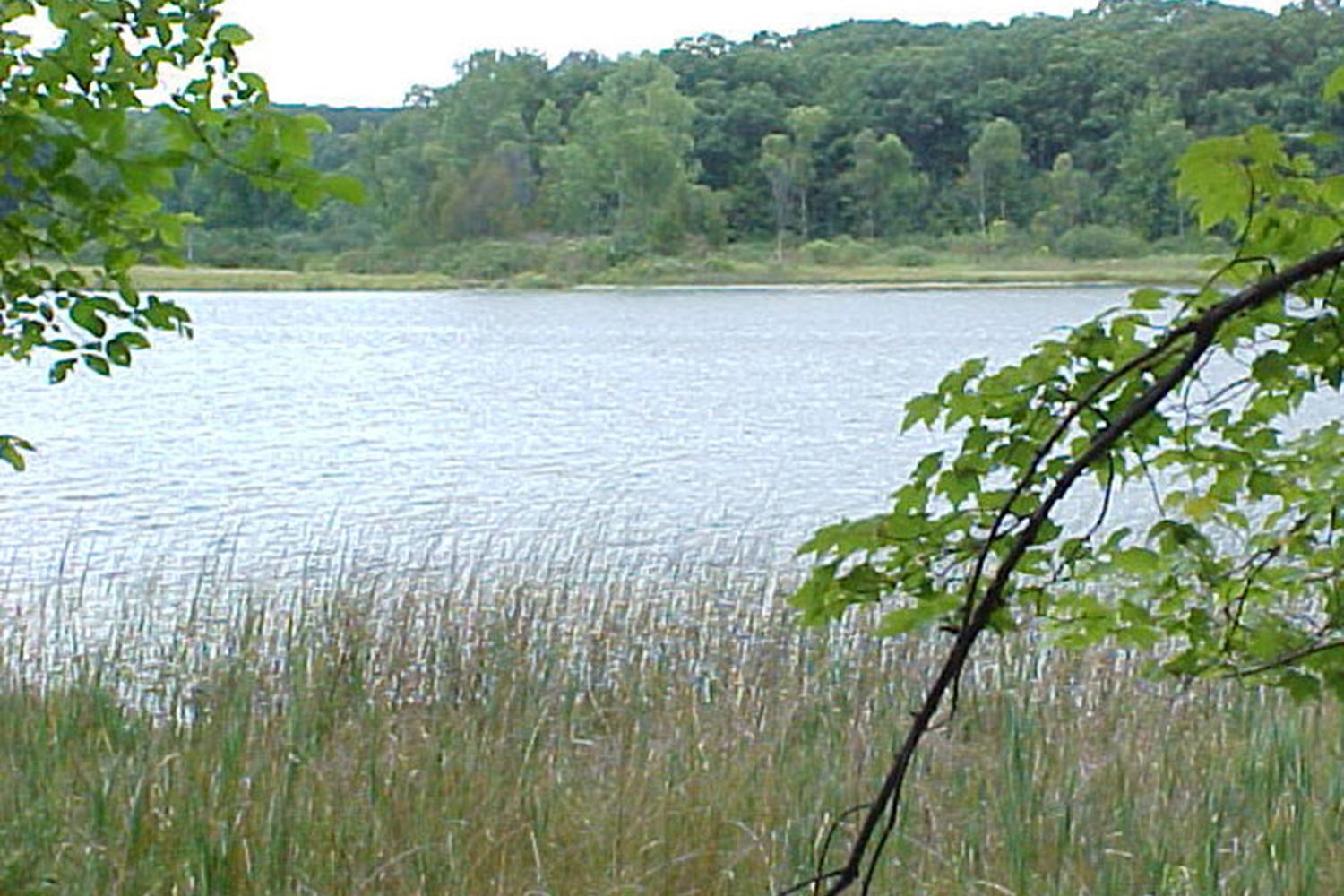 Yankee Springs Recreation Area 1