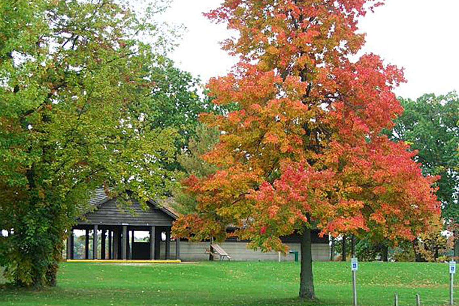 Yankee Springs Recreation Area 0