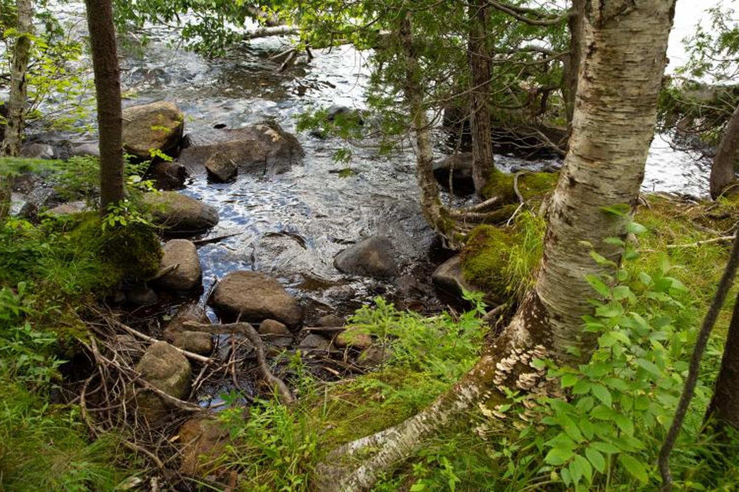 Peninsula Nature Trails 2