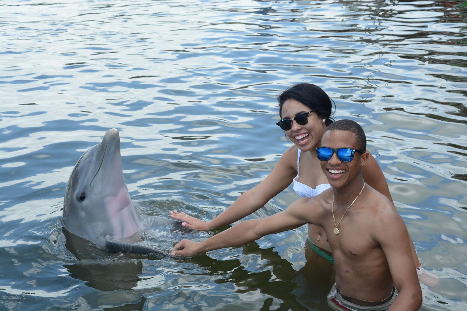 Dolphin Research Center 7