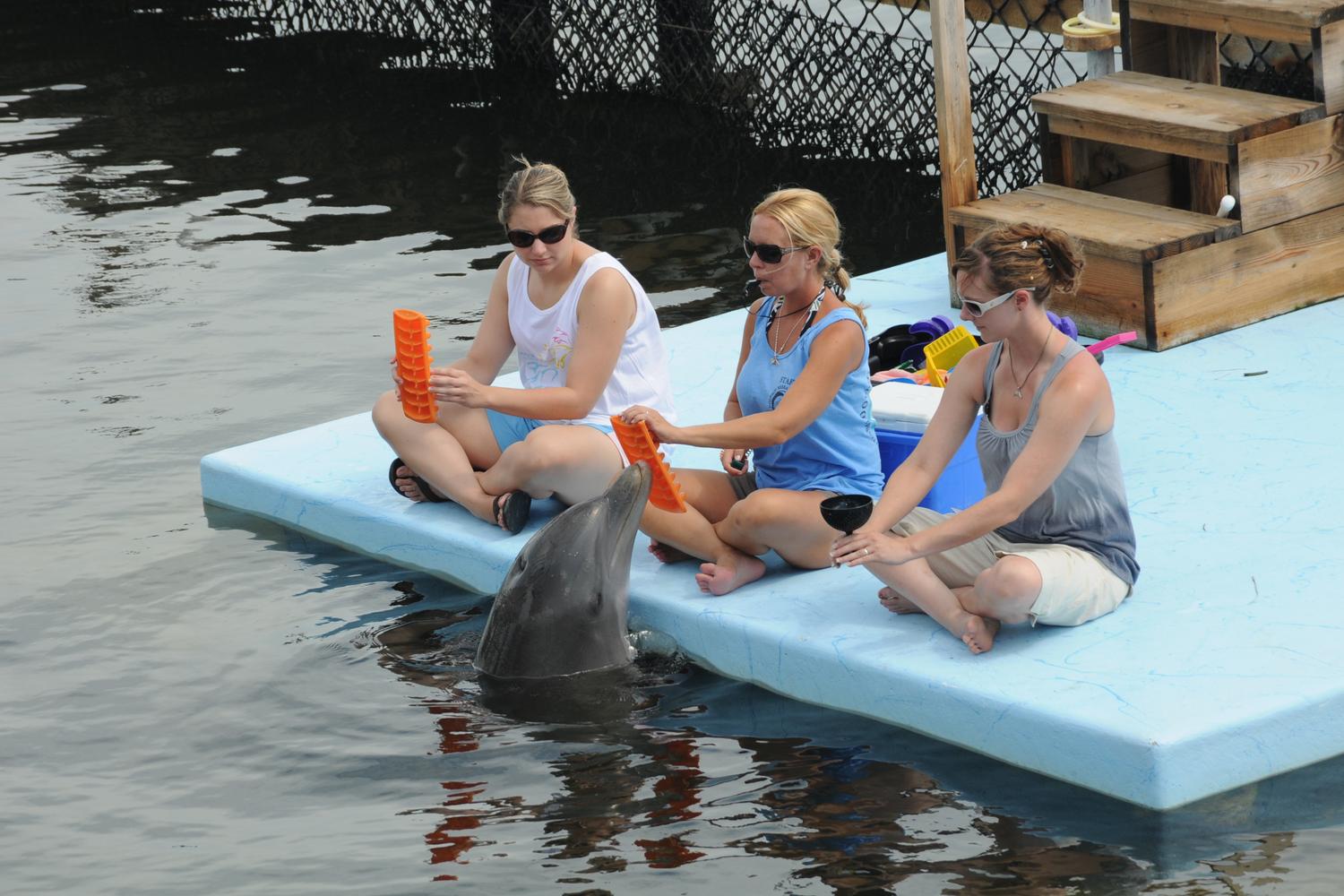 Dolphin Research Center 11