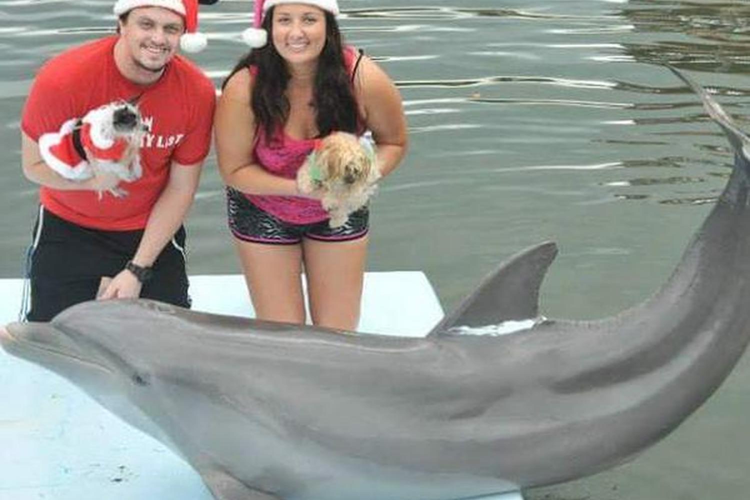 Dolphin Research Center 1