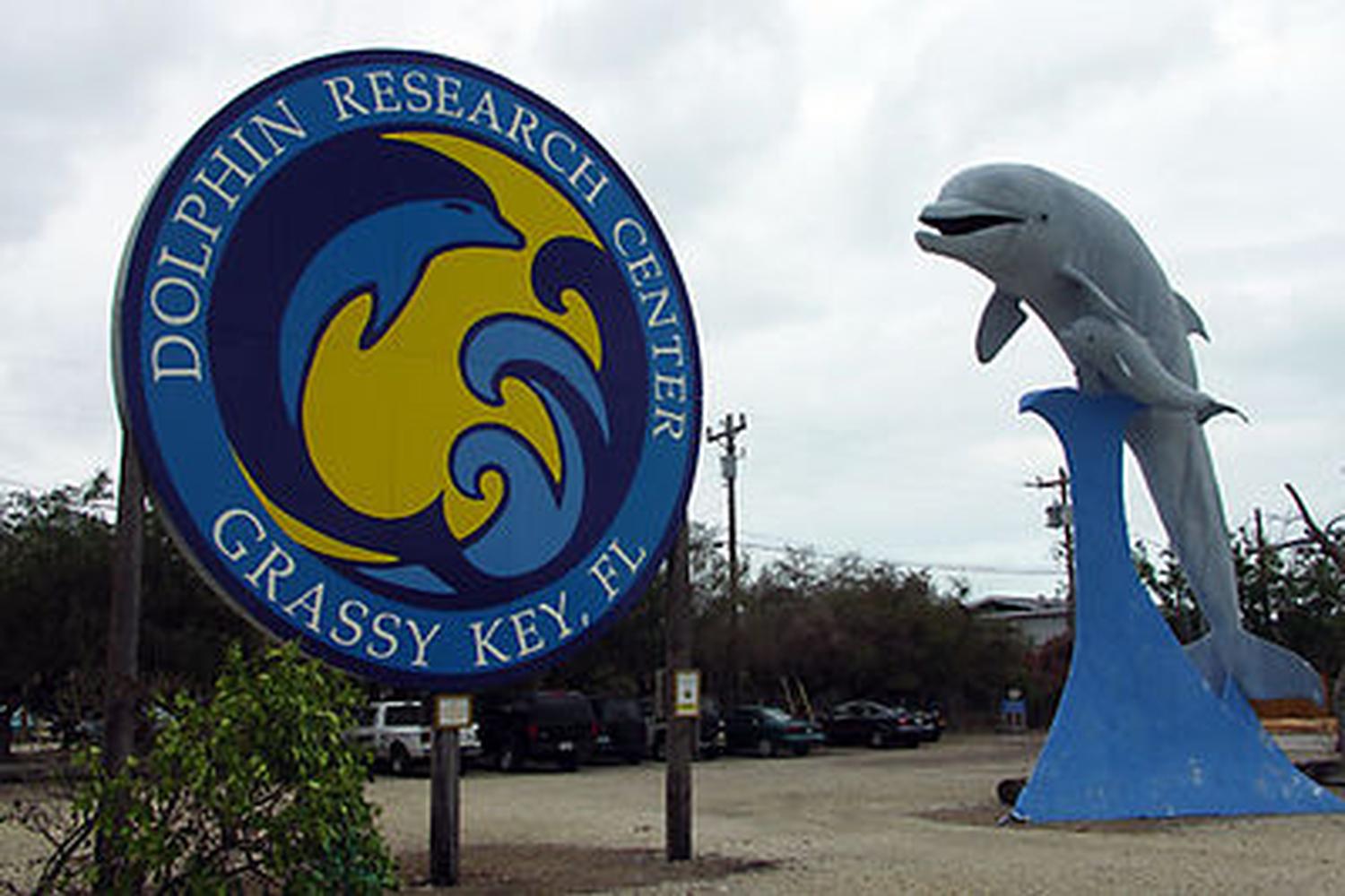 Dolphin Research Center 0