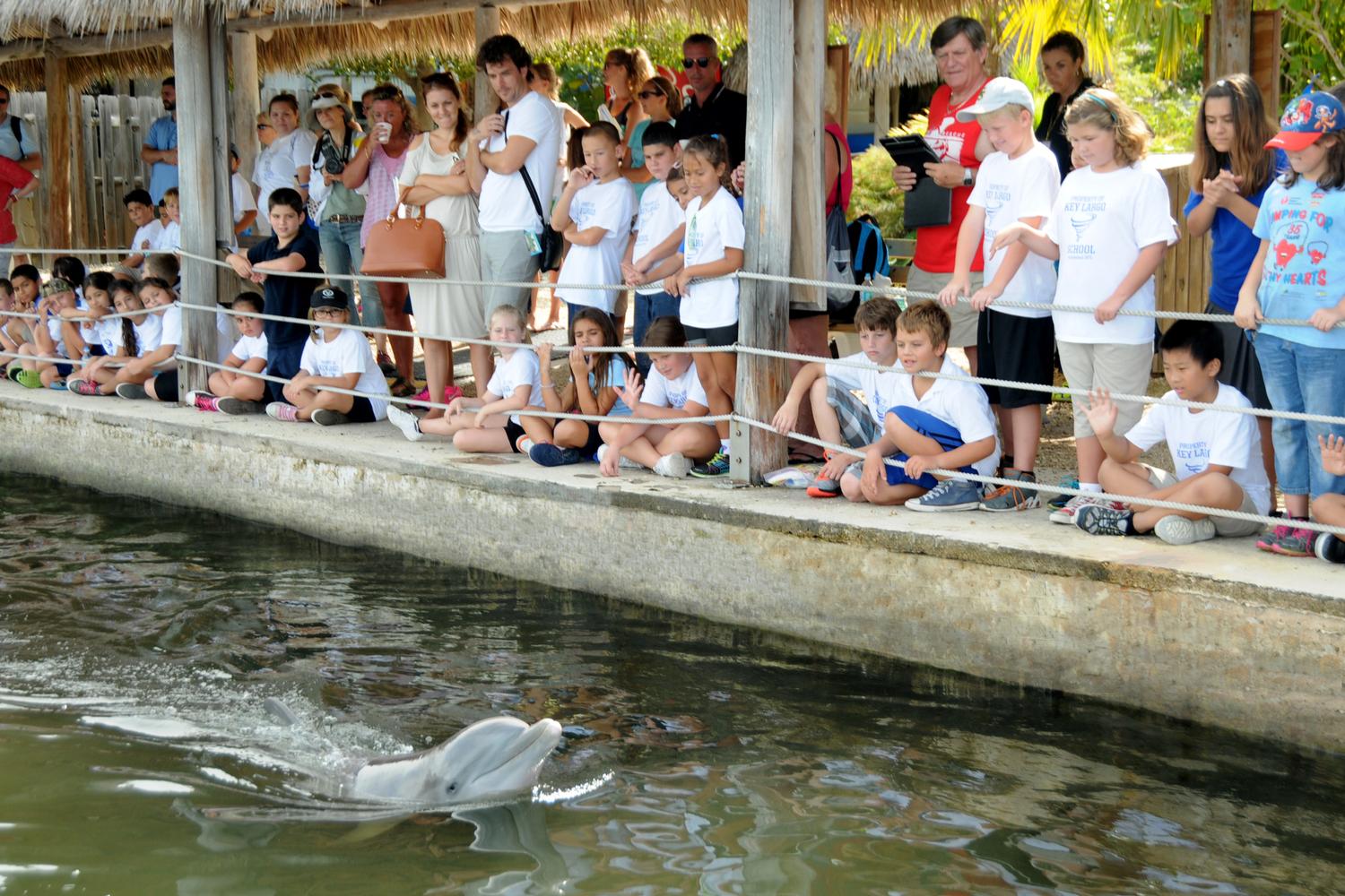 Dolphin Research Center 2