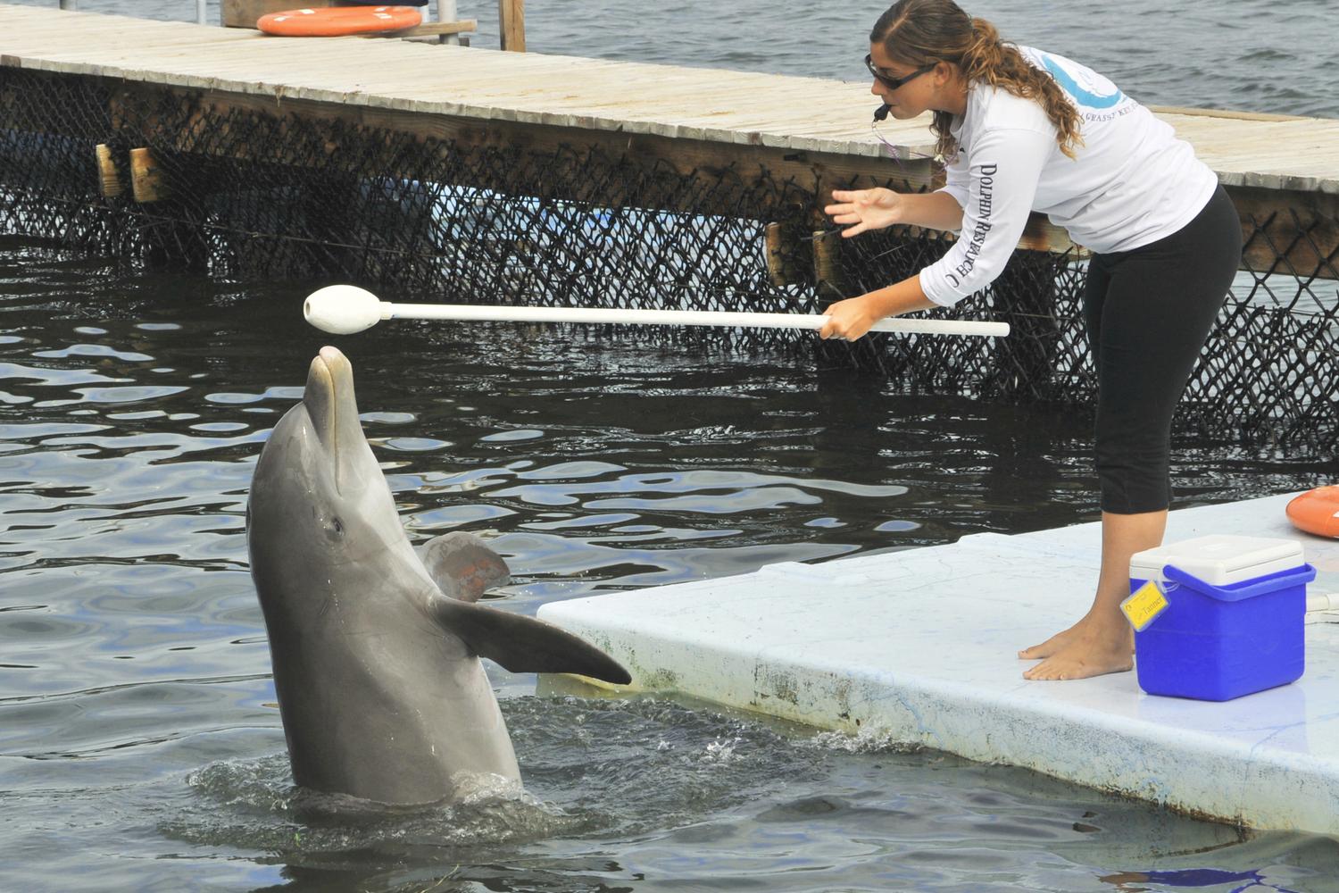 Dolphin Research Center 10