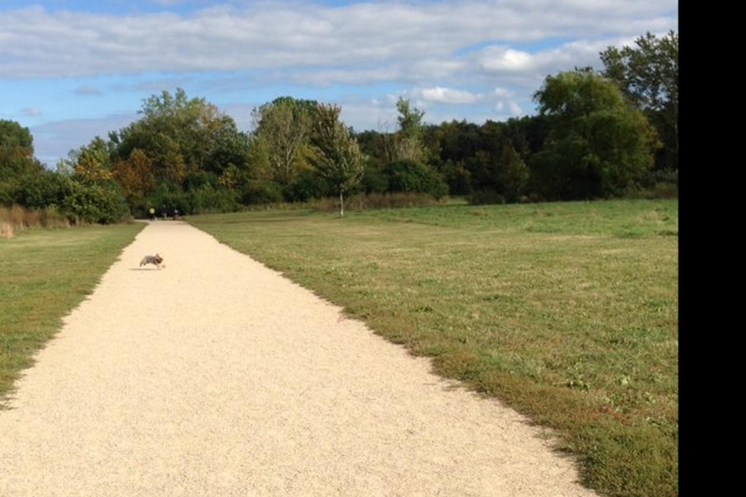 Prairie Wolf Dog Park 0