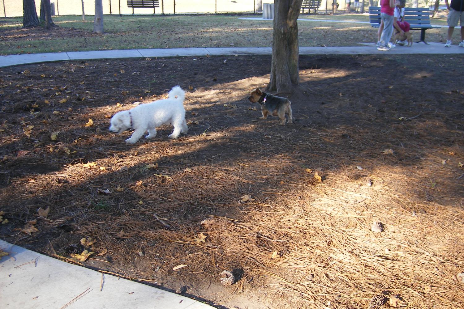 Barc Parc North 5