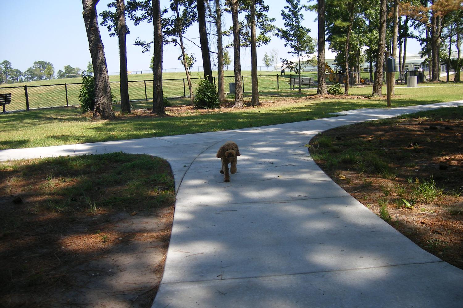 Barc Parc North 3