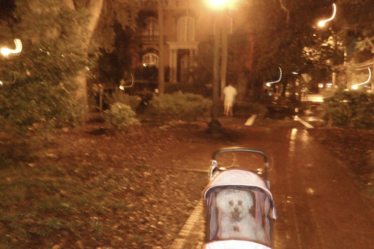 Ghost City Tours 4