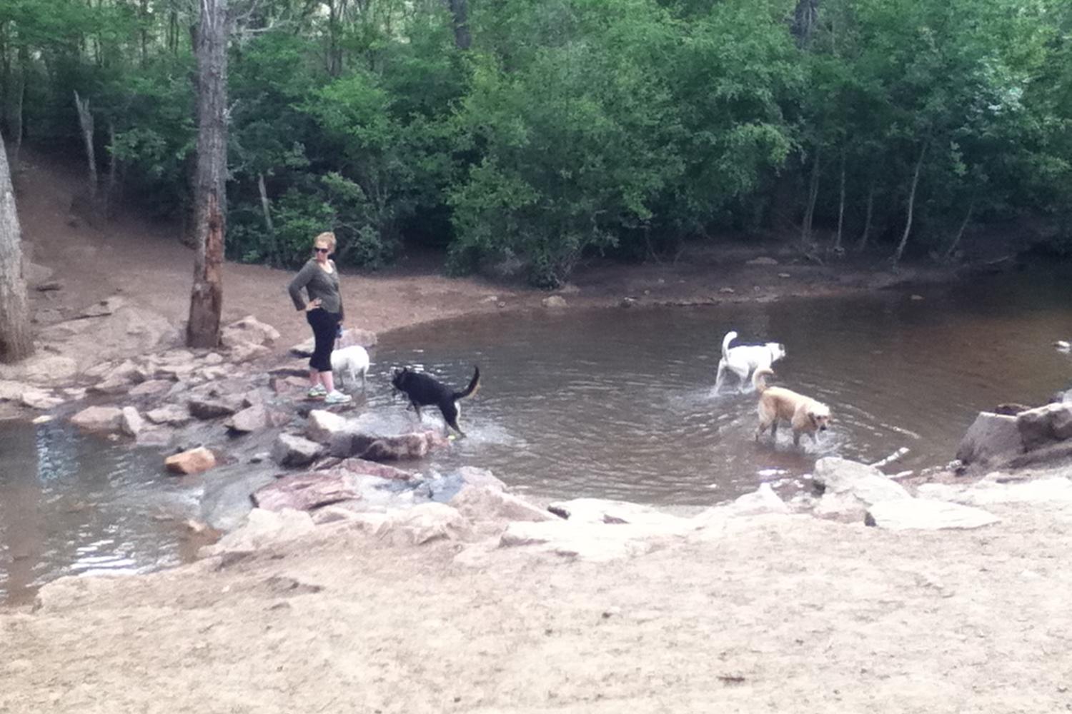 Bear Creek Dog Park 4