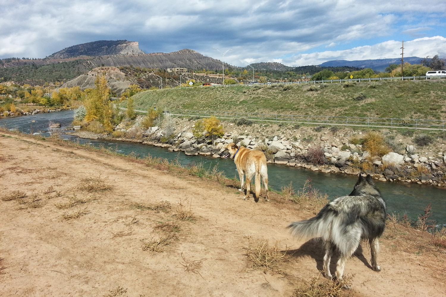 Durango Dog Park 2