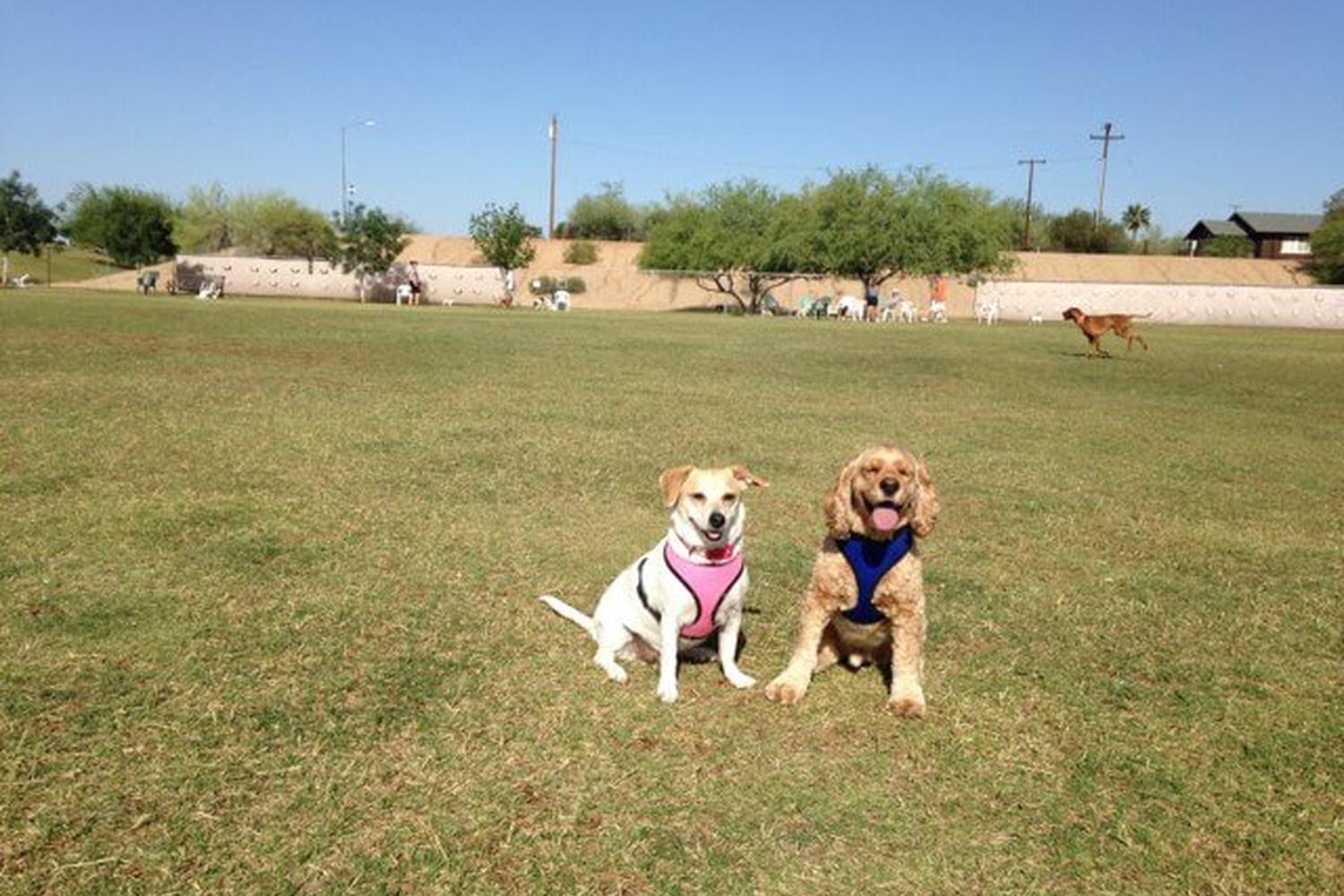 Echo Mountain Off Leash Arena at Grovers Basin 6