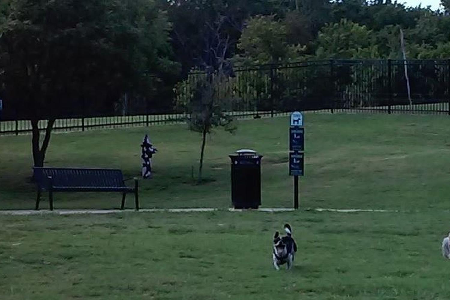 White Rock Lake Dog Park 4