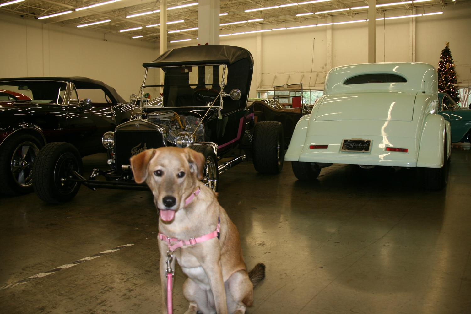 Streetside Classics Cars 1