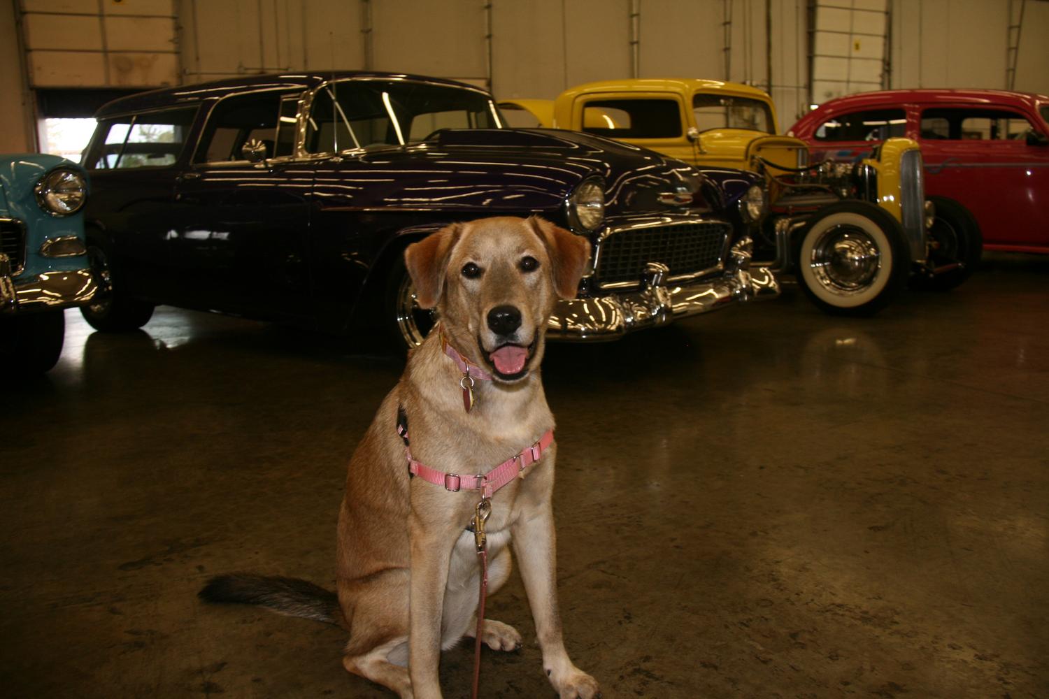 Streetside Classics Cars 6