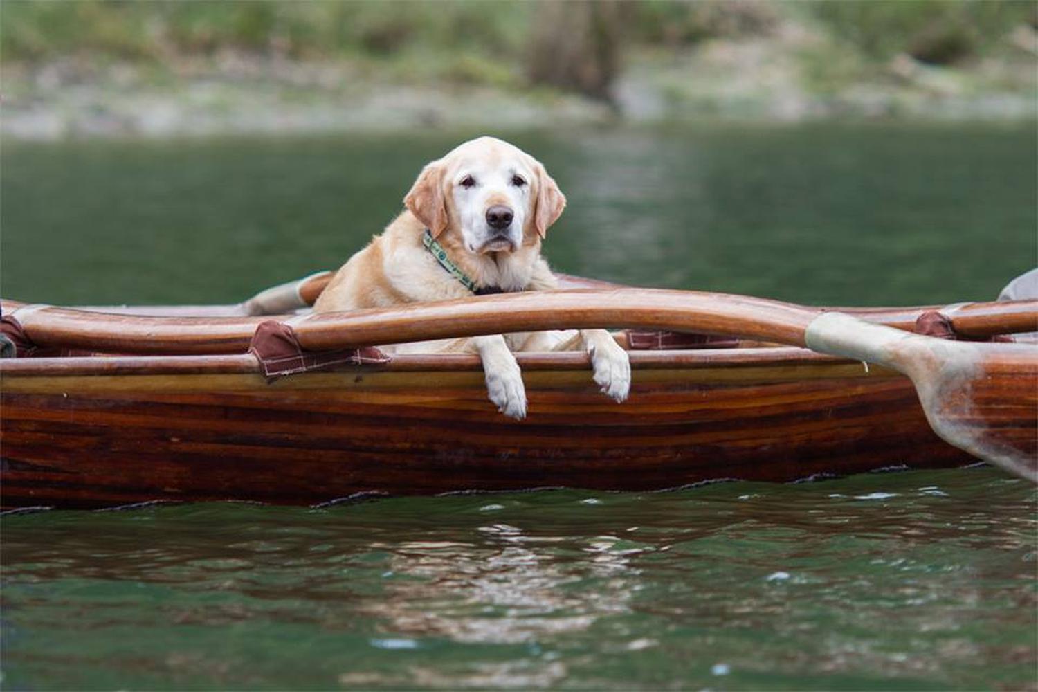 Catch a Canoe & Bicycles Too 6