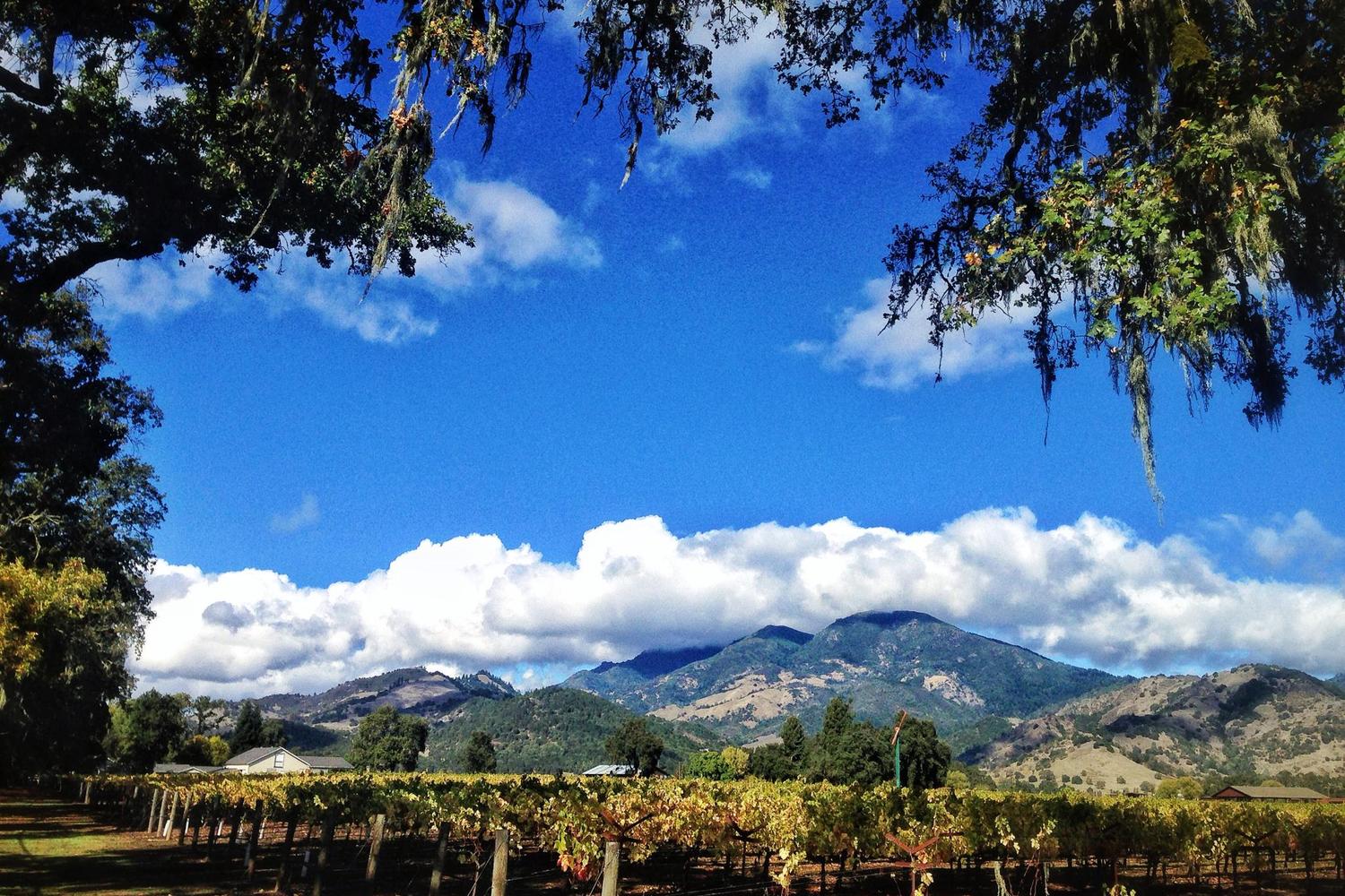 Calistoga Chamber of Commerce & Visitor Center 1