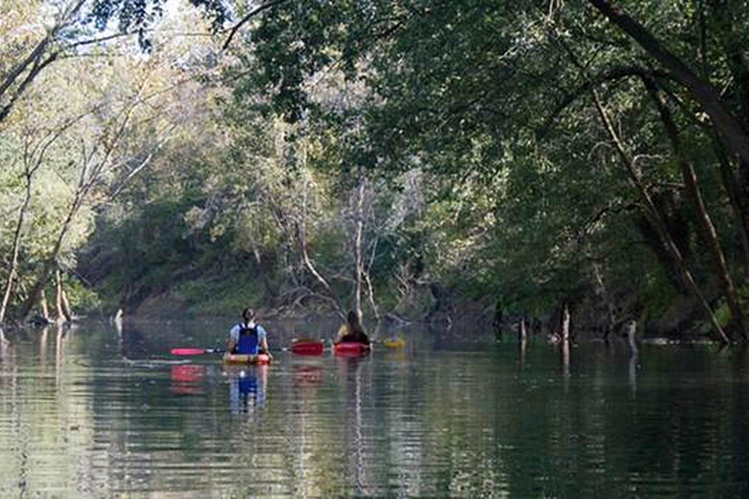 Cave Country Canoes 0