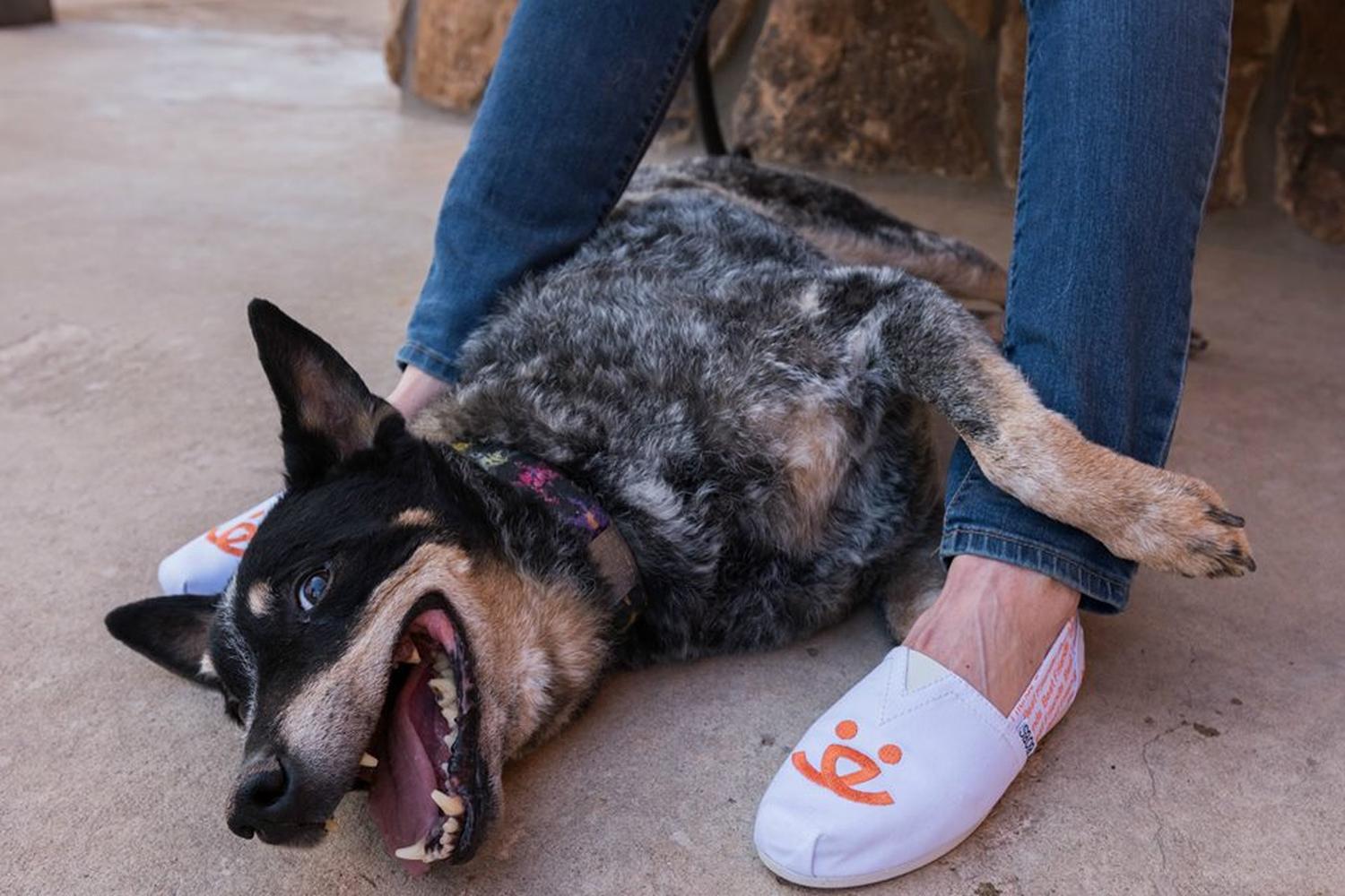 Best Friends Animal Sanctuary 5