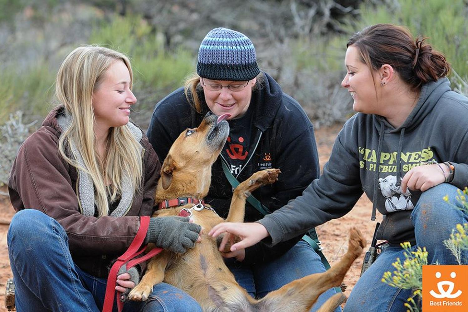 Best Friends Animal Sanctuary 1