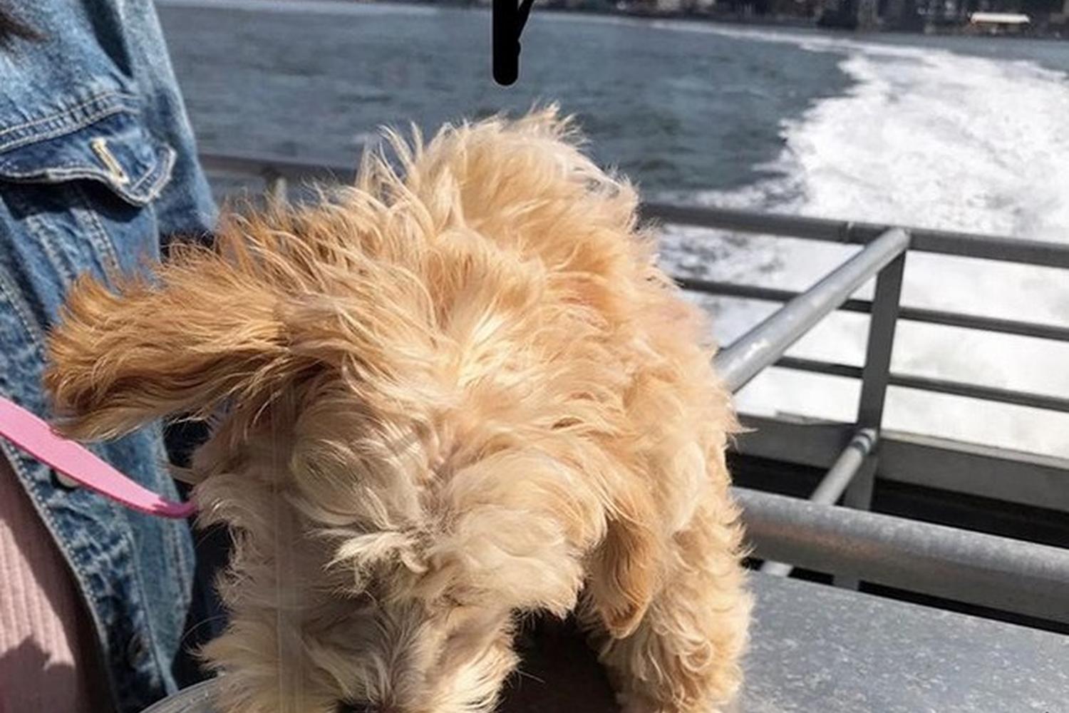 Seastreak Ferries 0