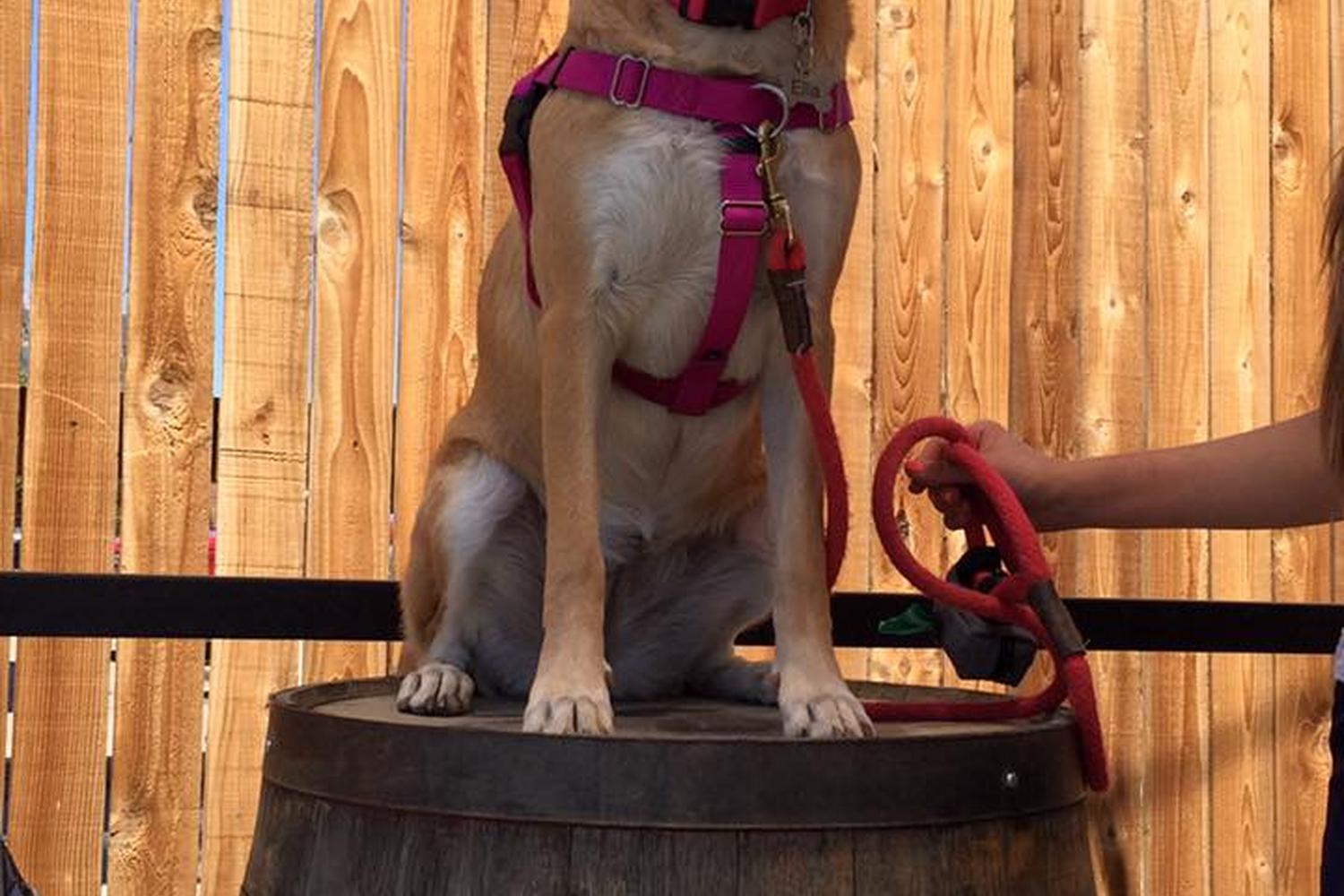 Banded Oak Brewing Company 7