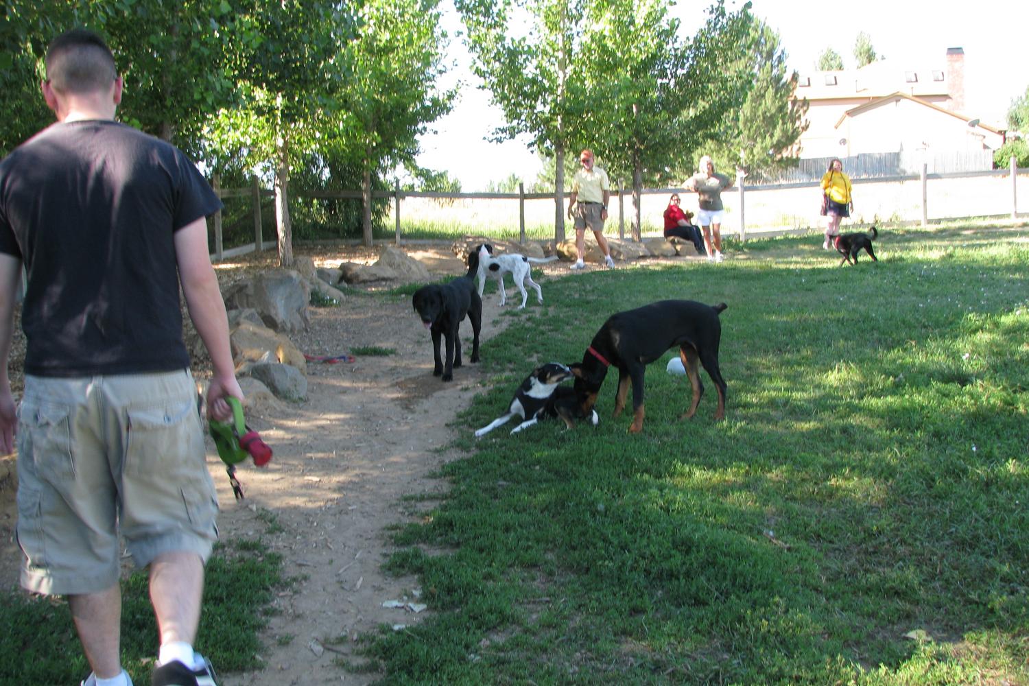 Grandview Dog Park 0